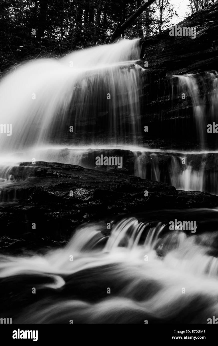 Image noir et blanc vertical de l'Onondaga Falls, dans la région de Glen Leigh à Ricketts Glen State Park, New York. Banque D'Images