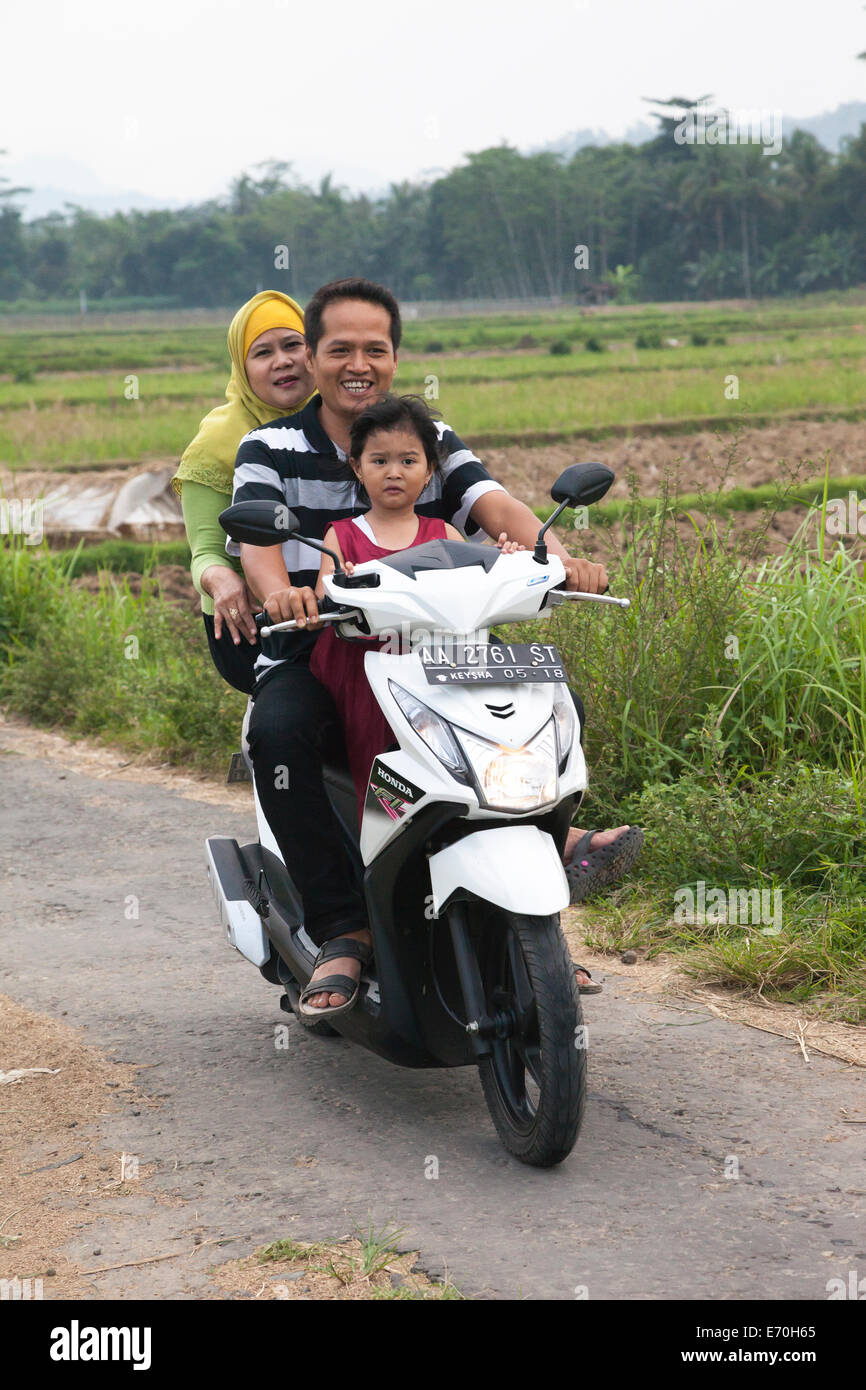 Borobudur, à Java, en Indonésie. Family Riding Motorbike on Rural Road, pas de casques. Banque D'Images