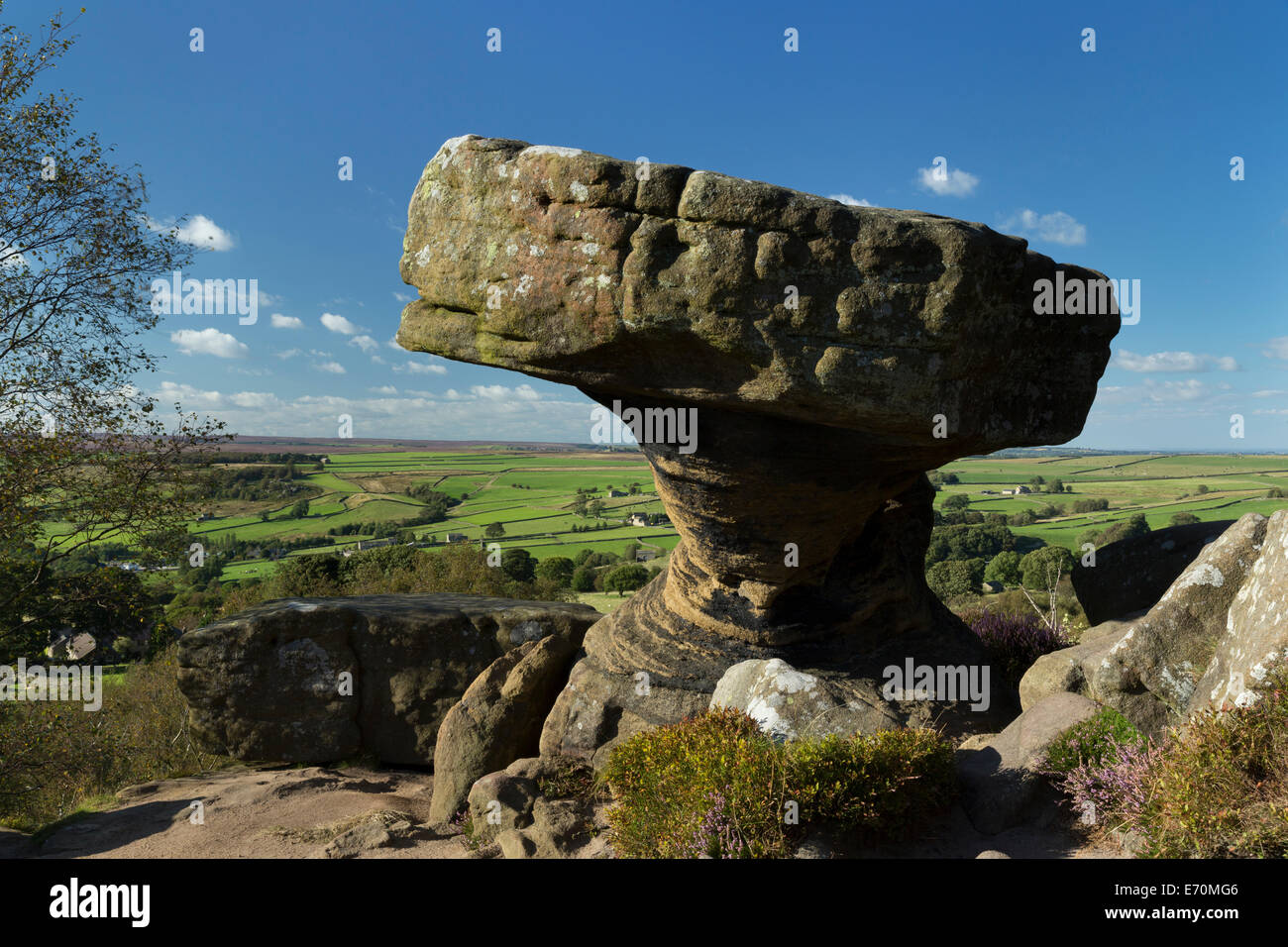 Brimham Rocks dans Nidderdale, les vallées du Yorkshire, Angleterre. Banque D'Images