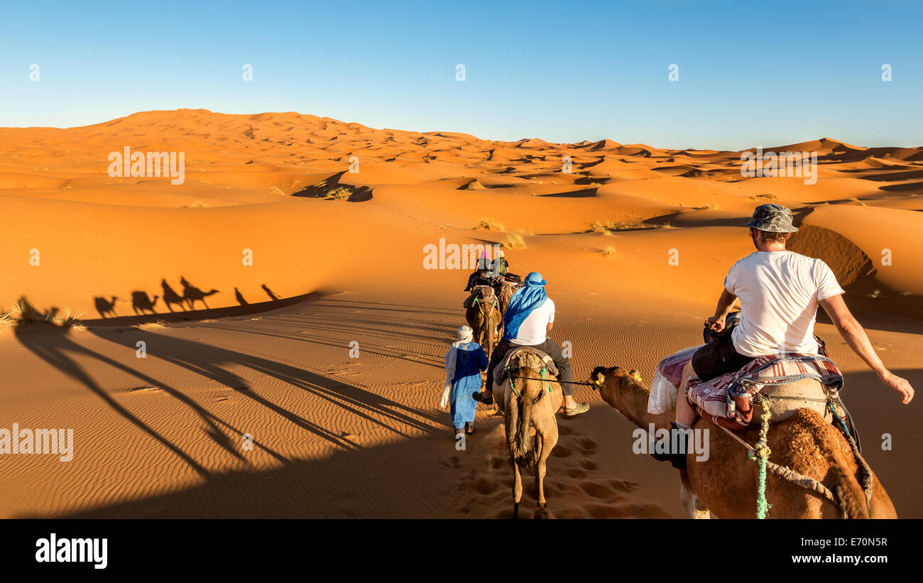 Équitation de dromadaire désert Erg Chebbi, Merzouga, Maroc, Afrique Banque D'Images