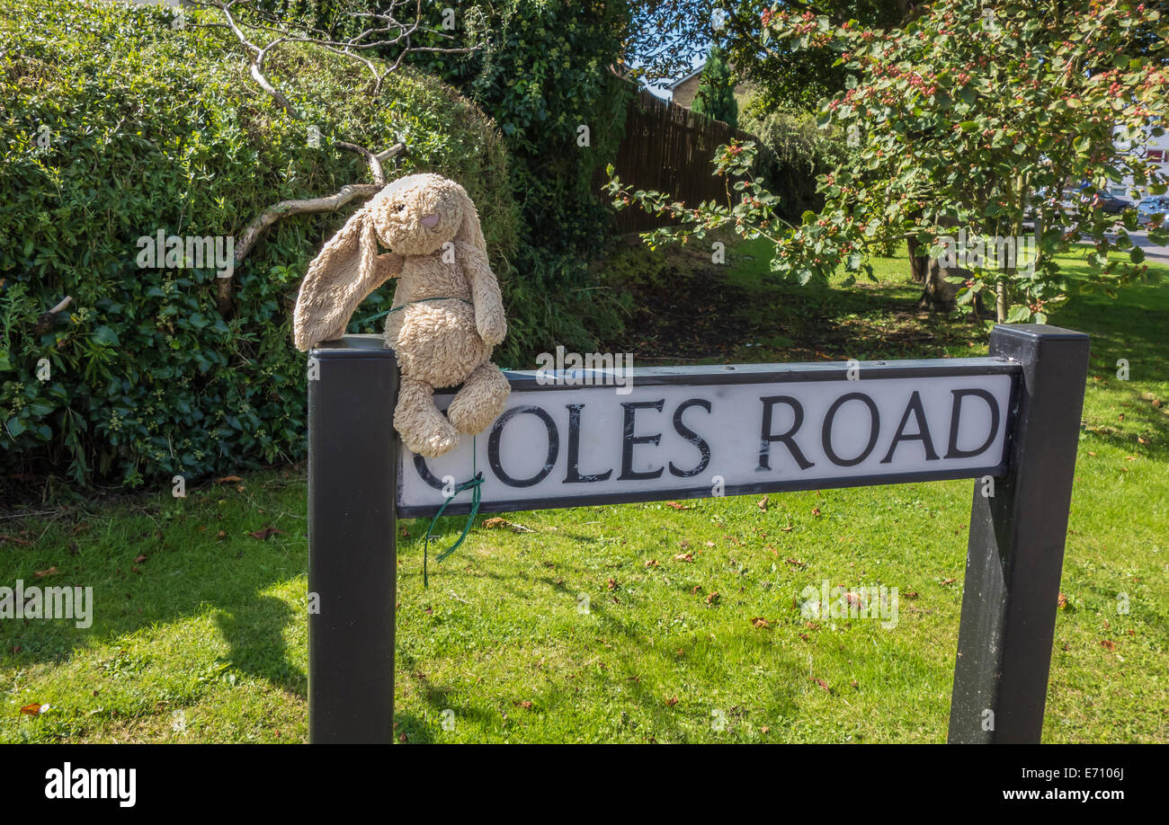 Peluche Doudou lapin perdu sur plaque de rue collection d'attente par propriétaire Banque D'Images
