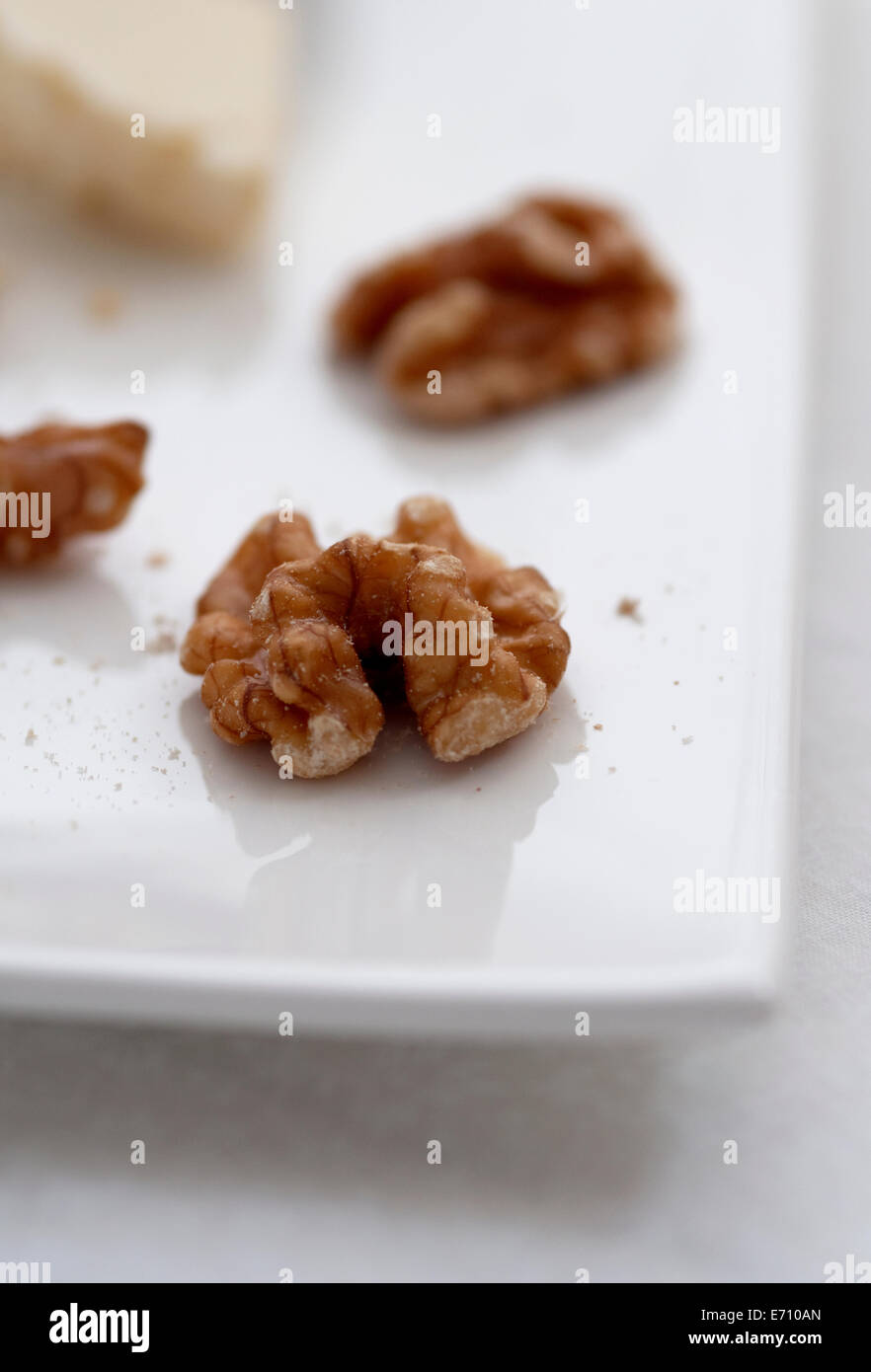 La vie encore de droit d'un cerneaux de noix Banque D'Images