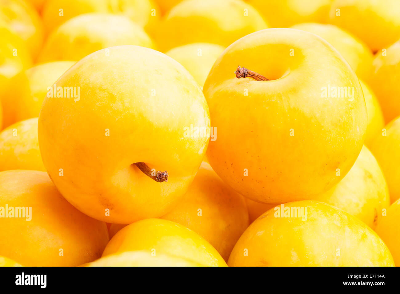 Gros plan de prune jaune Banque D'Images