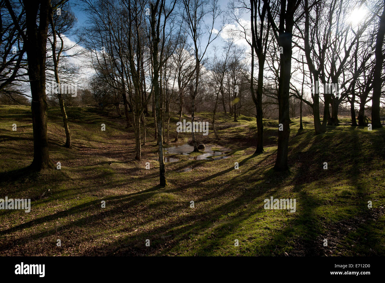 Ypres-Ieper WW1 Bataille, 1914-1918, la Belgique. Hill 60, Ypres, Flandre, Belgique. 60 février 2014 Hill ( 60 mètres au-dessus de la mer l Banque D'Images