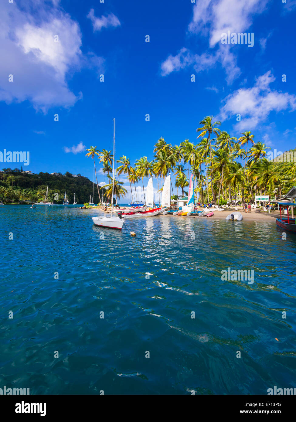 Caribbean, Saint Lucia, Marigot Bay, yachts Banque D'Images