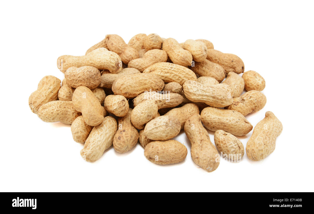 Monkey noix, arachides ou des arachides en coque, isolé sur fond blanc Banque D'Images