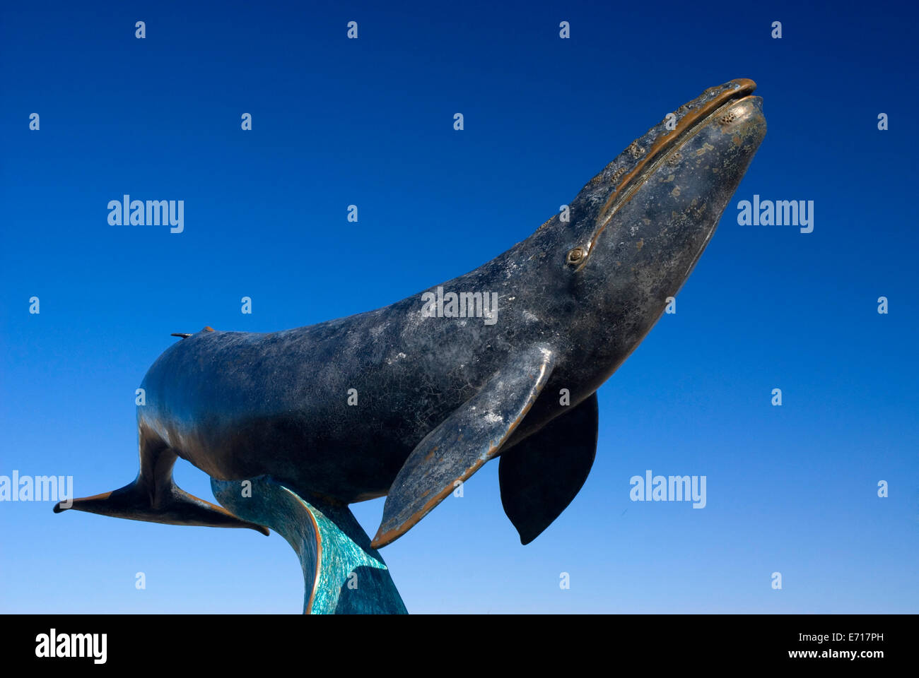 Baleine grise (par Carl Glowienke), Cabrillo National Monument, Californie Banque D'Images