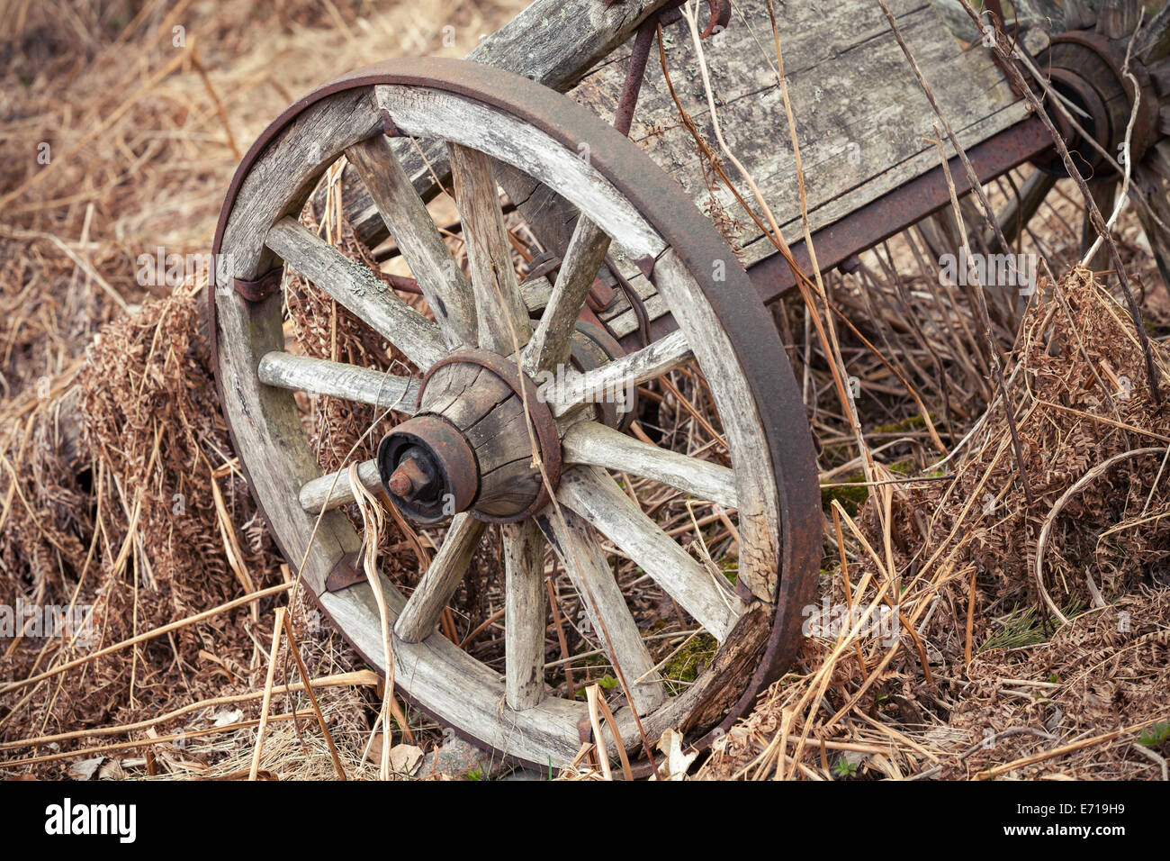 Wagon en bois vieux rural se tient sur de l'herbe sèche Banque D'Images