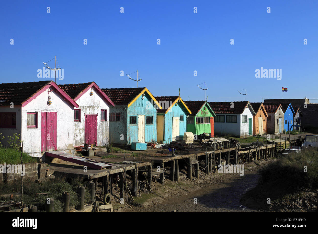 Oyster shack à Château d'Oléron, Île d'Oléron, Charente Maritime, Poitou-Charentes , France Banque D'Images