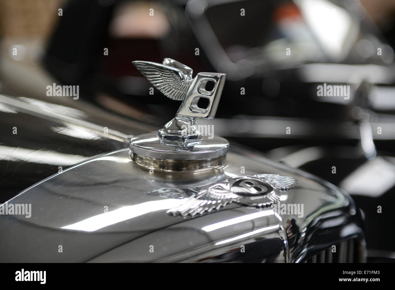 Vintage voiture Bentley Bentley badge ailé du badge 'B' et l'ornement de capot Banque D'Images