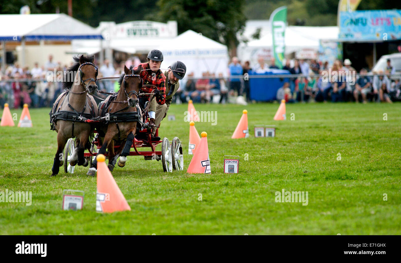 Un concurrent déterminé dans le faisceau double se précipitent à la concurrence conduite Edenbridge et salon de l'agriculture Oxted Banque D'Images