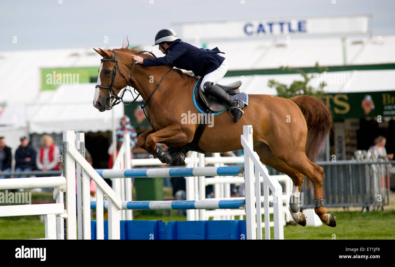 Un cheval et cavalier sur une clôture dans le concours de saut à l'Edenbridge et salon de l'agriculture dans la région de Surrey Oxted Banque D'Images