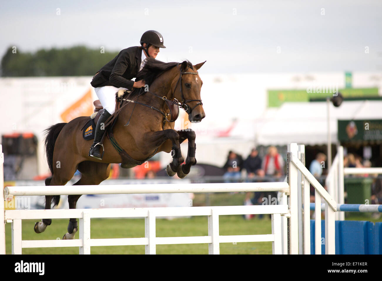 Un cheval et cavalier dans l'approche d'une clôture à la compétition de saut d'Edenbridge et salon de l'agriculture dans la région de Surrey Oxted Banque D'Images