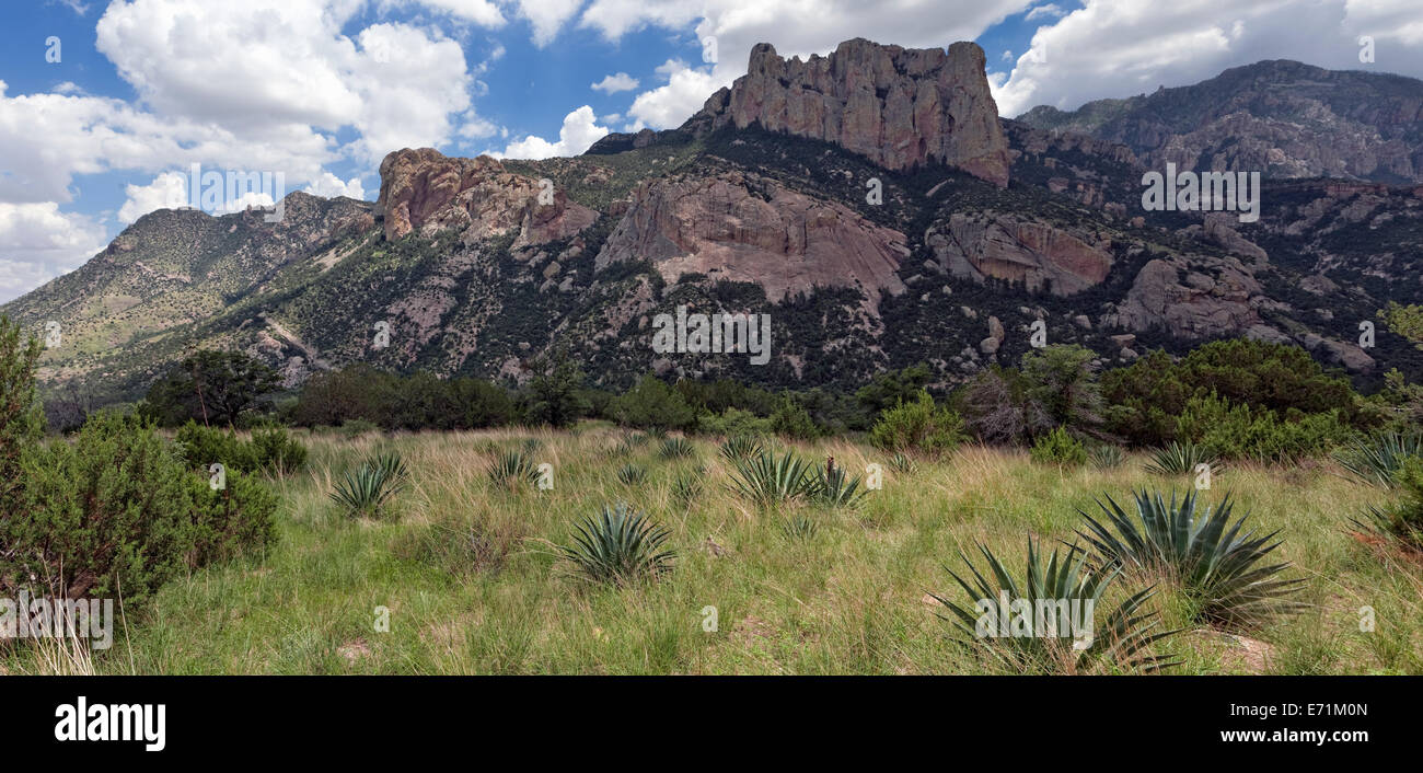 Monument National Chiricahua, Arizona (AZ) près de portail, Banque D'Images