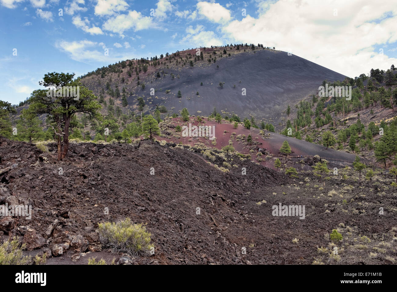 Sunset Crater National Monument est situé au nord de Flagstaff dans l'Arizona du Nord Banque D'Images