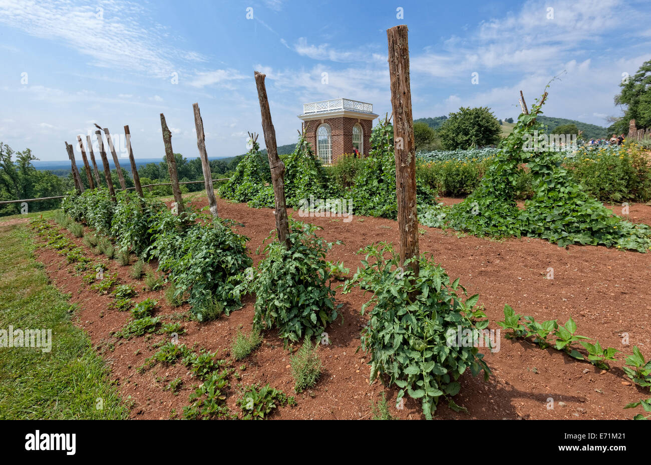 Jardin de légumes à Thomas Jefferson's Home - Monticello, VA Banque D'Images