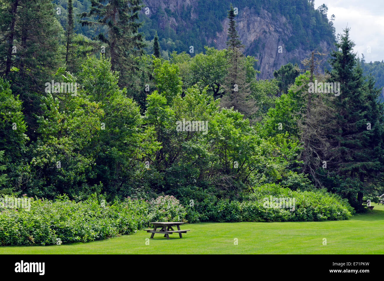 Barbecue table sur l'herbe verte sous falaise rocheuse. Banque D'Images