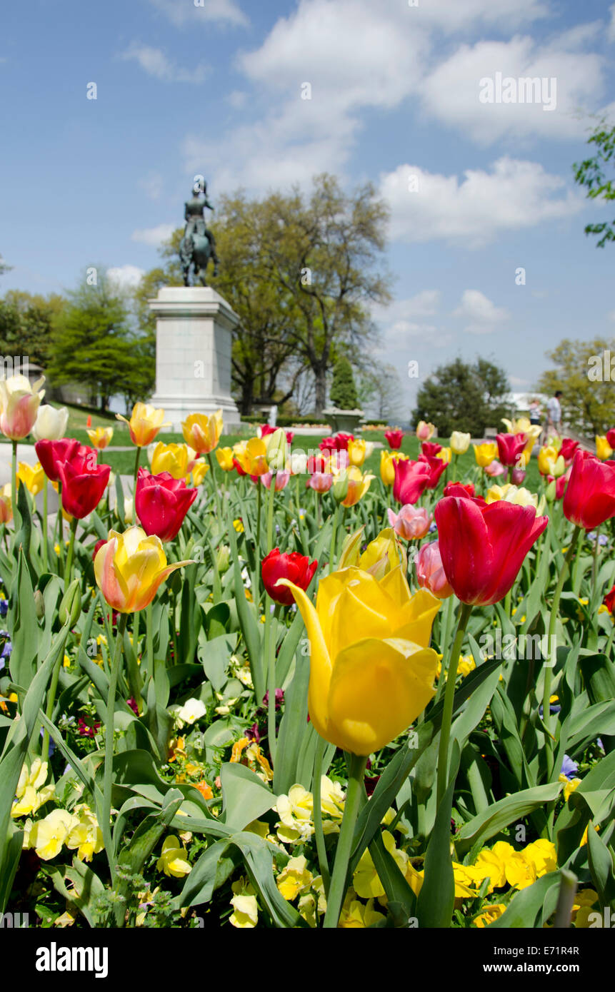 USA, New York, Nashville. Tennessee State Capitol, East Garden, statue équestre d'Andrew Jackson entouré de tulipes. Banque D'Images