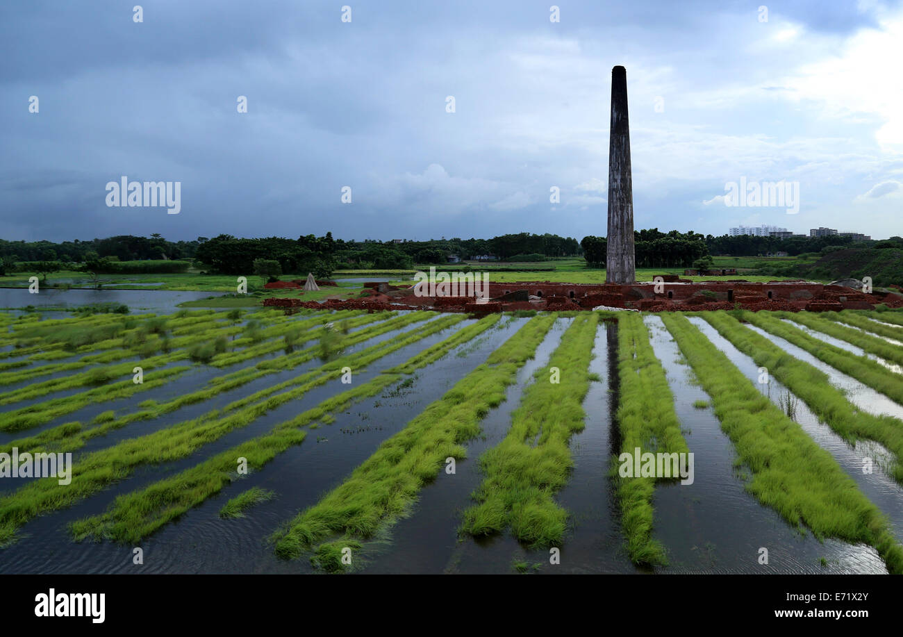 Eco friendly brickfield bangladais Banque D'Images