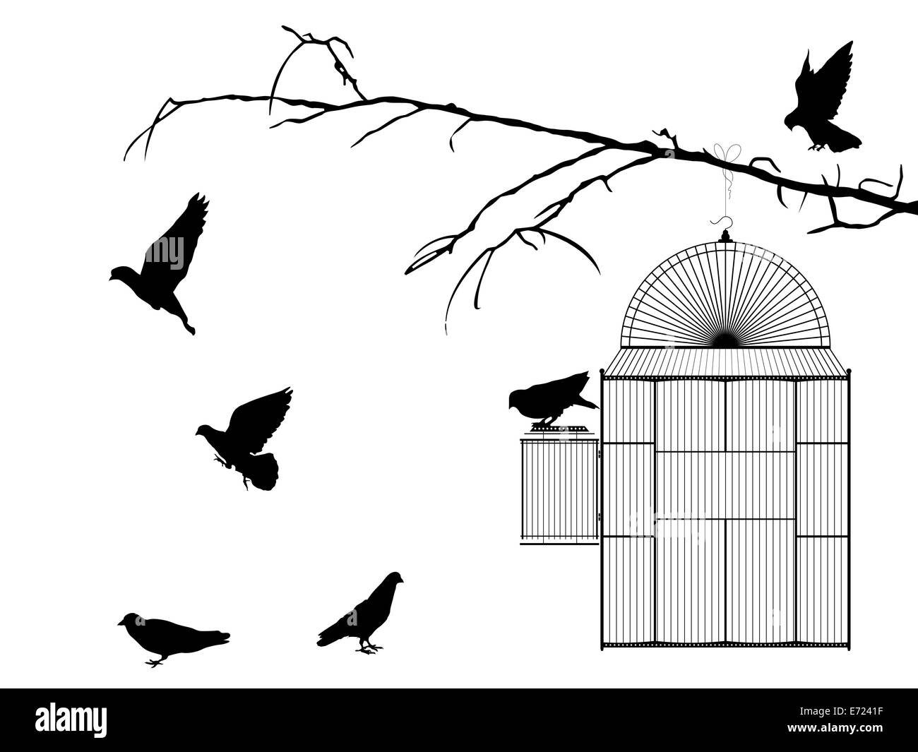 Cage à oiseaux silhouette sur fond blanc Banque D'Images