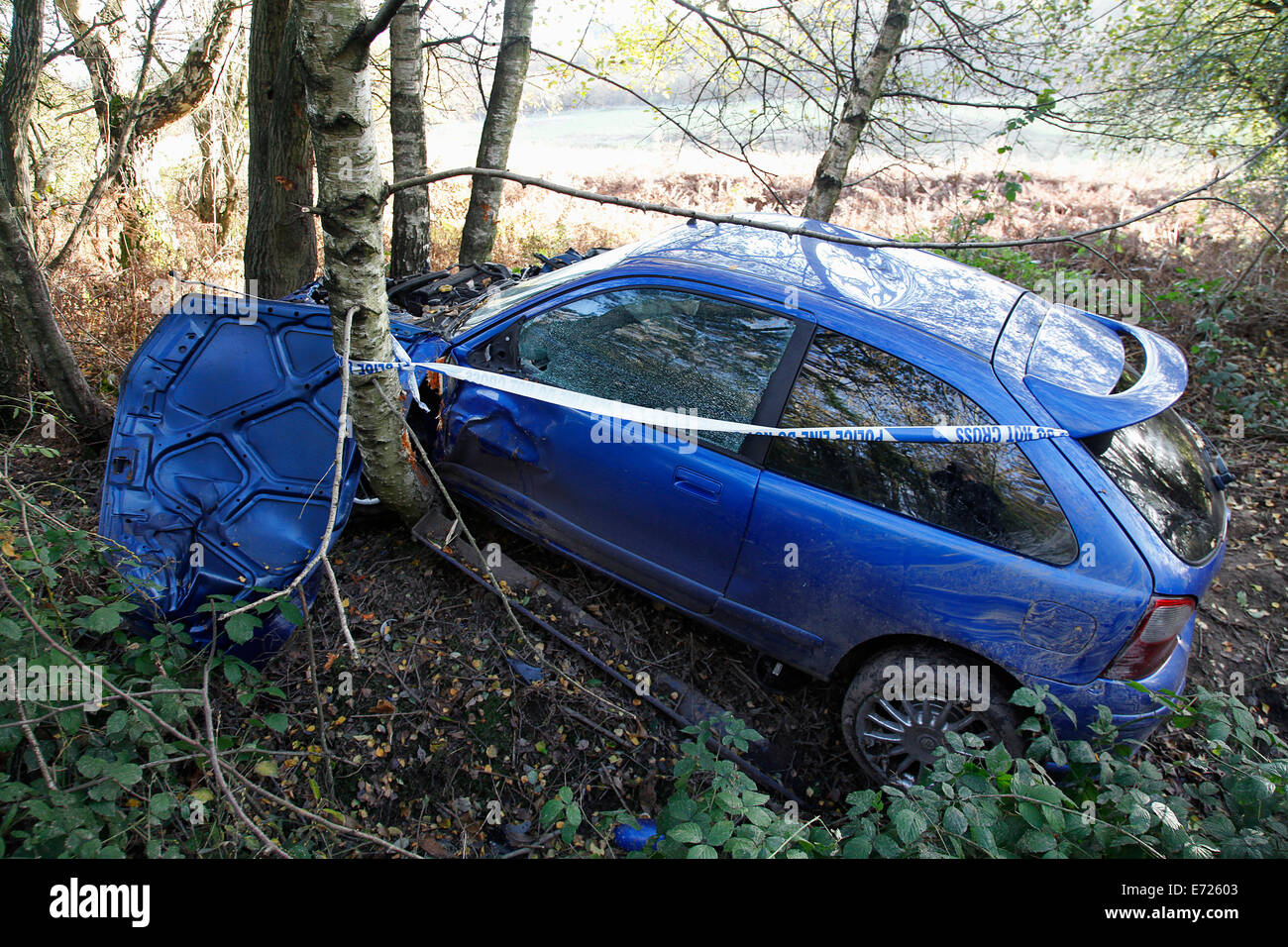 Transports, route, voitures, accident de voiture Rover écrasé dans arbre. Banque D'Images