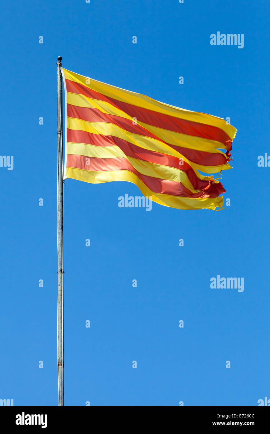 Brandissant le drapeau de la Catalogne sur le vent au-dessus de ciel bleu Banque D'Images