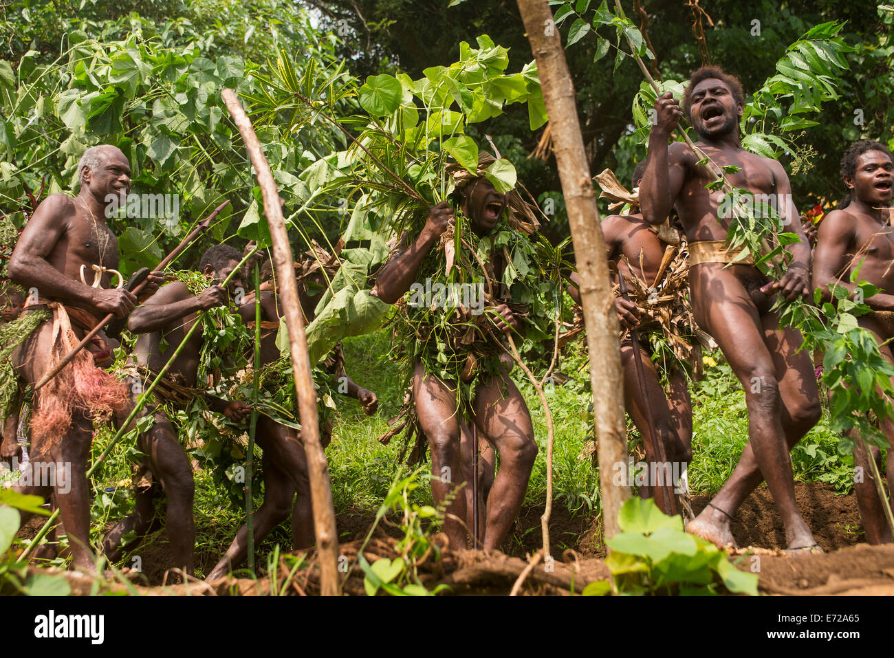 Les hommes de la société de personnes dansant à la terre de l'île de Pentecôte, cérémonie, Vanuatu Banque D'Images