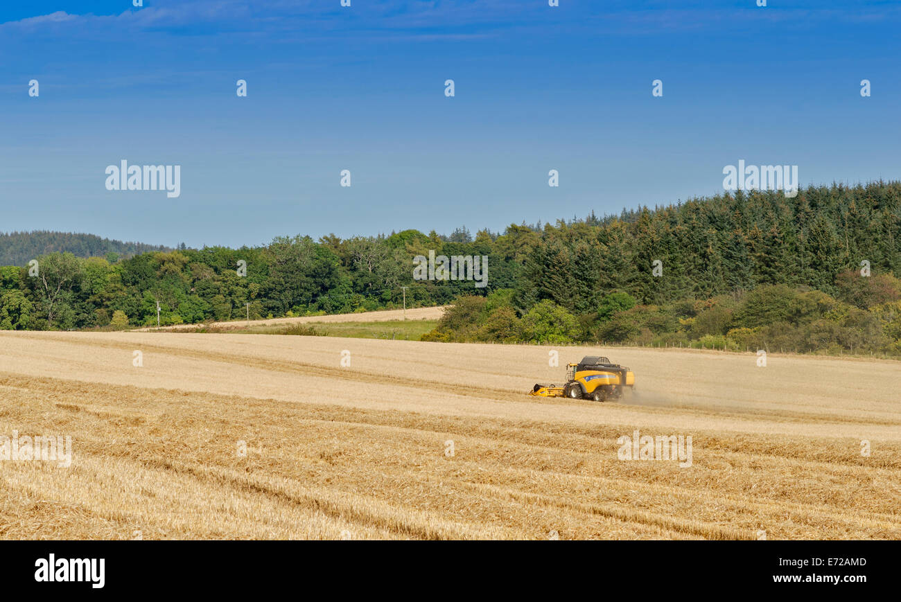 Moissonneuse-batteuse, dans l'ABERDEENSHIRE EN ÉCOSSE DANS UN CHAMP D'ORGE AVEC LA CHALEUR ET LA POUSSIÈRE Banque D'Images