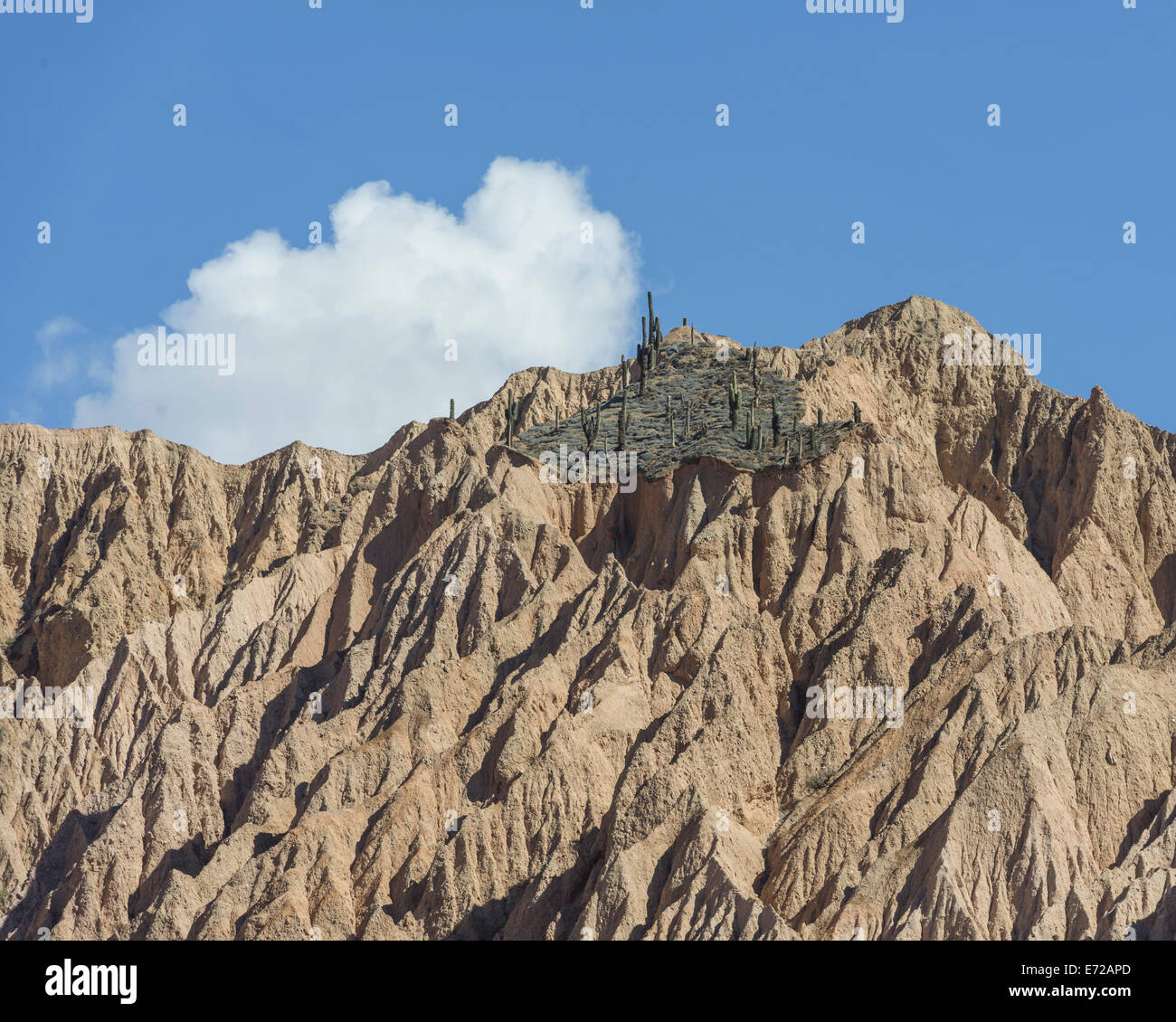 Montagne robuste avec cactus, Tilcara, province de Jujuy, Argentine Banque D'Images
