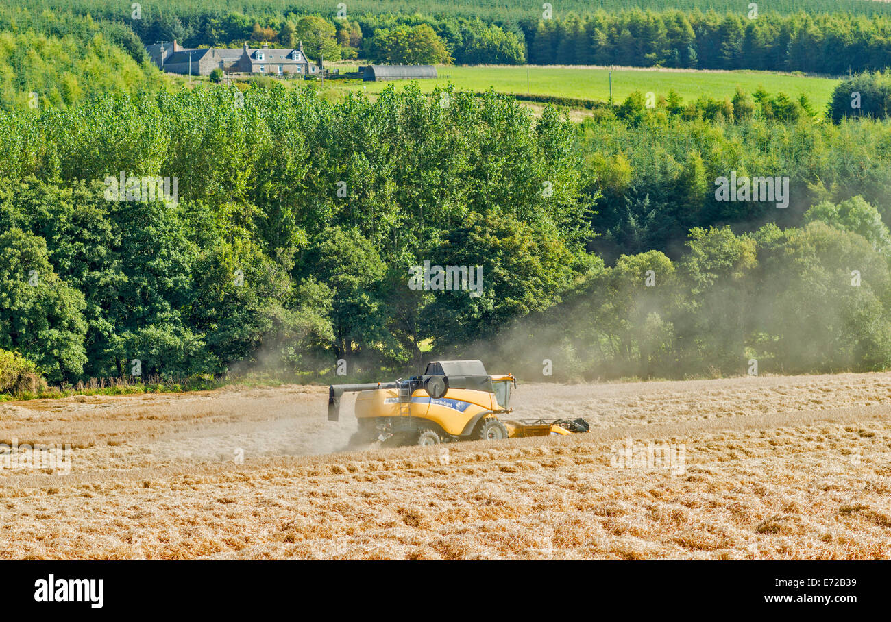 Moissonneuse-batteuse, dans l'ABERDEENSHIRE EN ÉCOSSE AVEC LA POUSSIÈRE DU CHAMP D'ORGE DANS LE VENT Banque D'Images