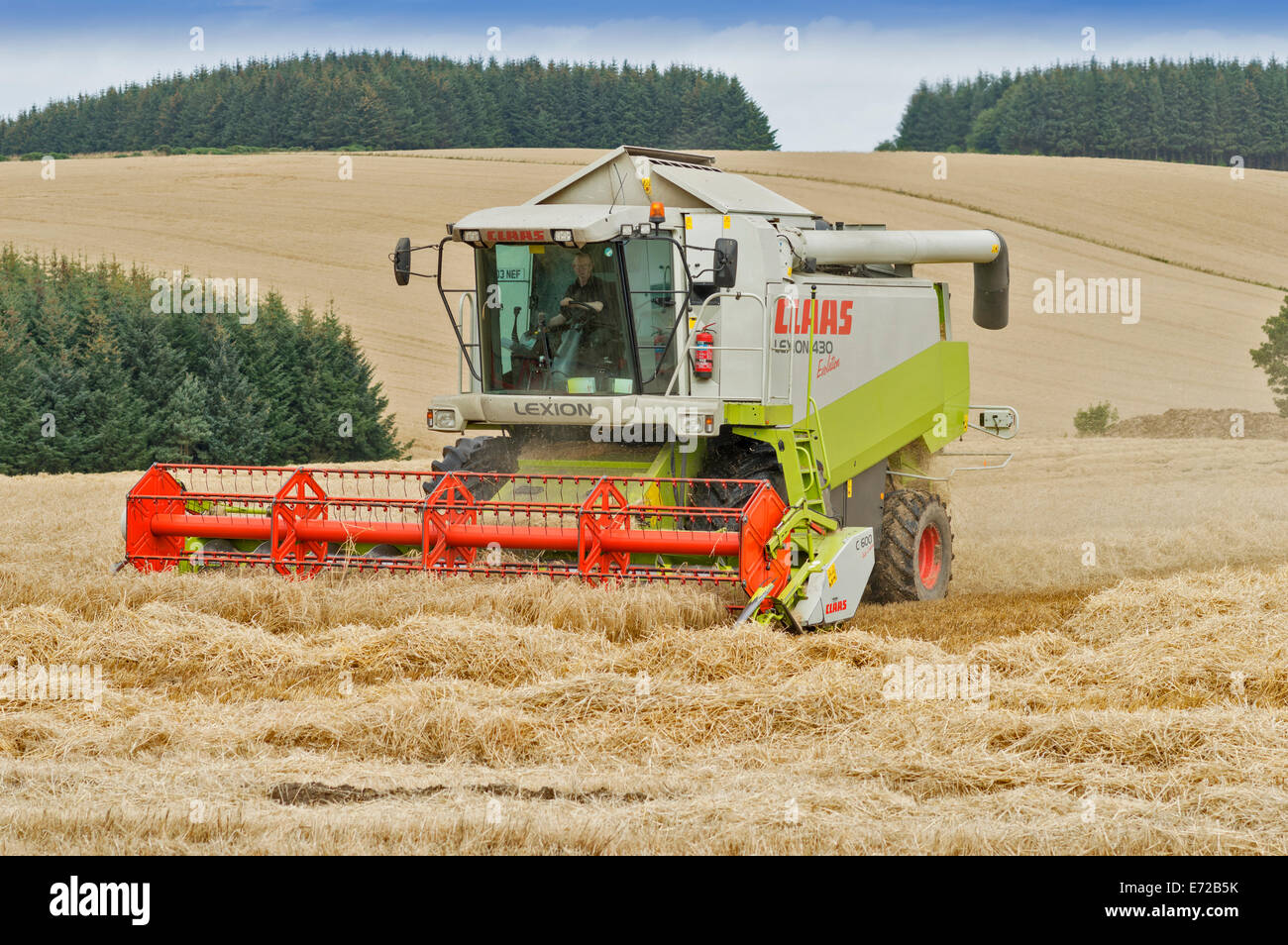 Moissonneuse-batteuse, dans l'ABERDEENSHIRE EN ÉCOSSE À LA FIN DE L'été de la tonte d'un CHAMP D'ORGE Banque D'Images