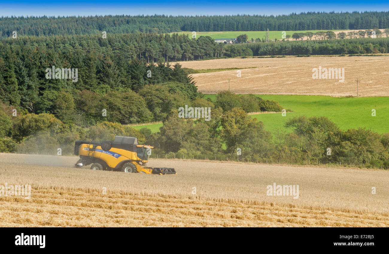Moissonneuse-batteuse, dans l'ABERDEENSHIRE EN ÉCOSSE SUR LES CHAMPS D'ORGE poussiéreux Banque D'Images