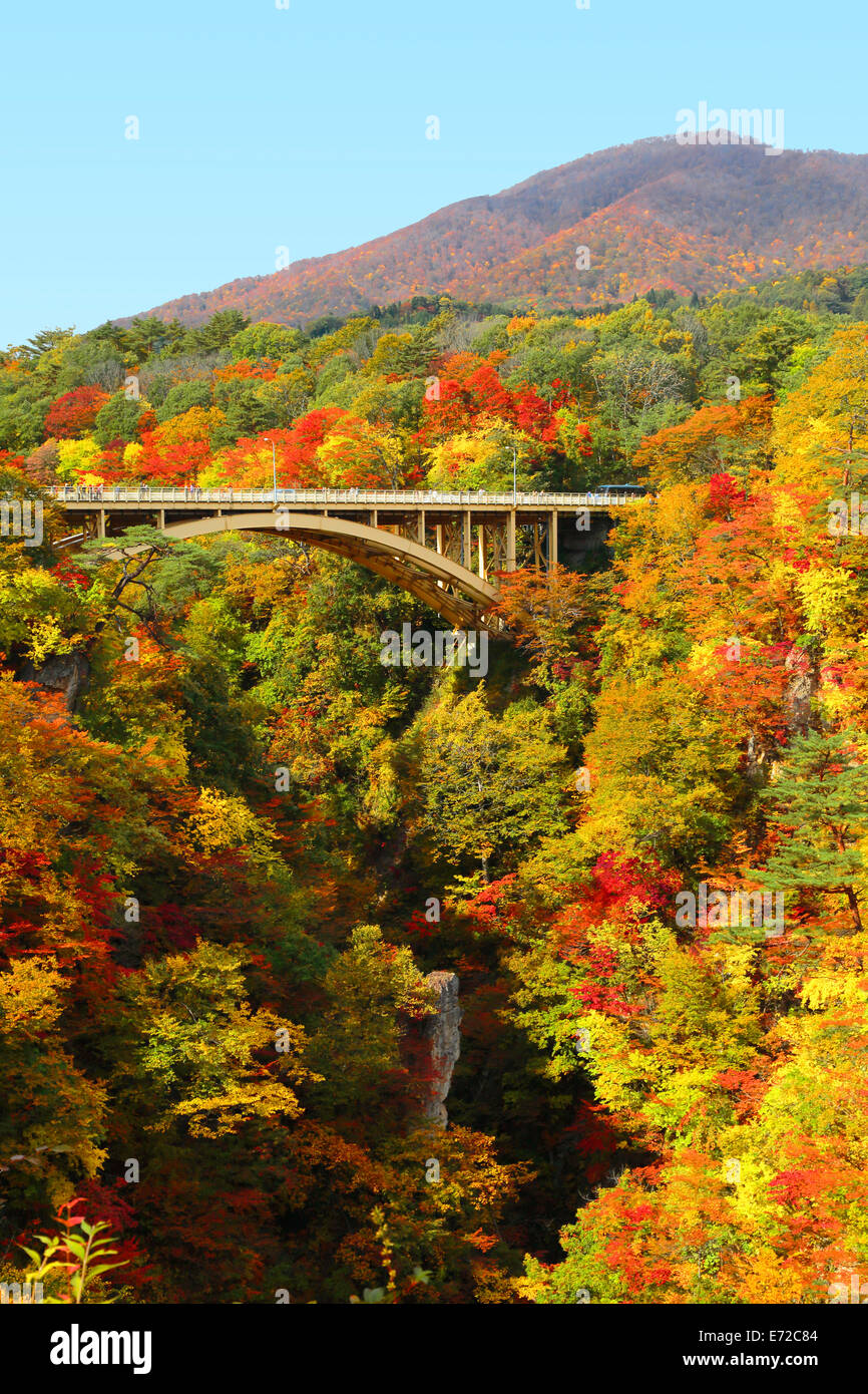 Naruko canyon en automne, Miyagi, Japon Banque D'Images