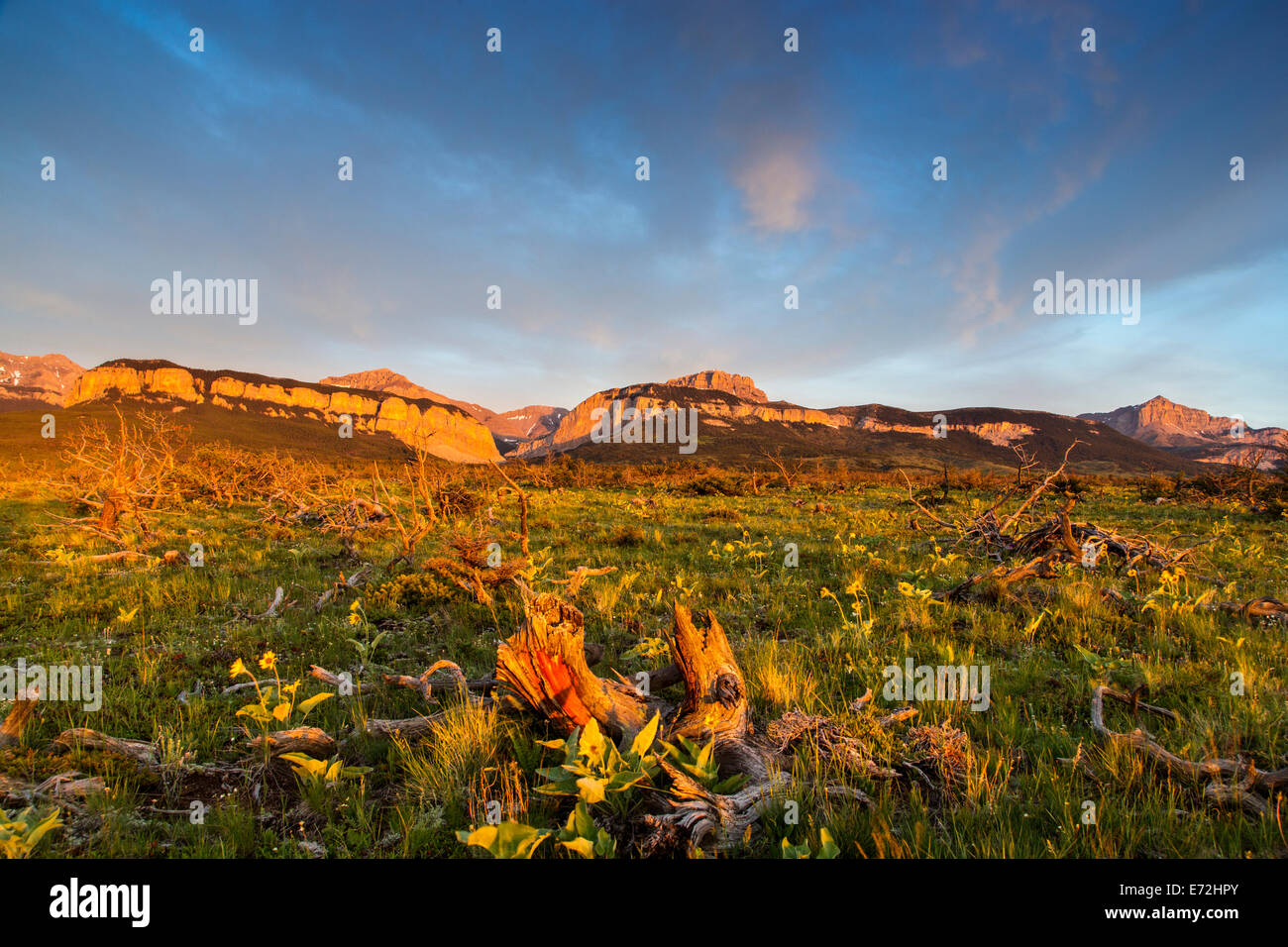 Feux de Blackleaf Sunrise Canyon et Mont Frazier le long de la montagne rocheuse, Lewis and Clark National Forest, Montana, USA. Banque D'Images