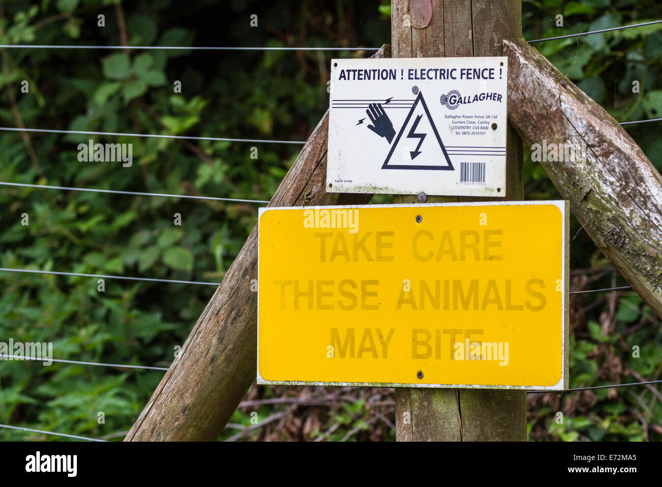 Clôture électrique panneau d'avertissement, les animaux peuvent mordre Banque D'Images