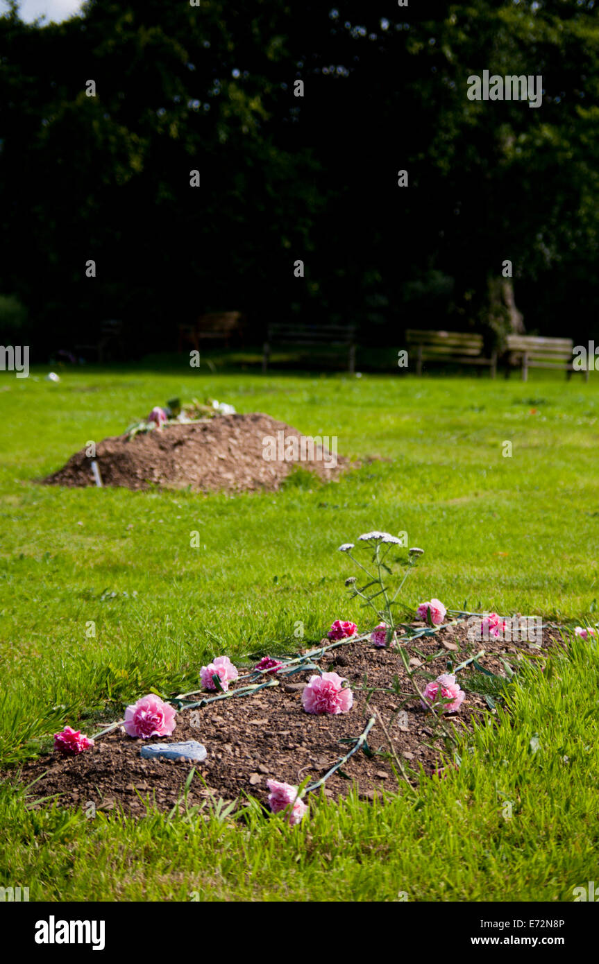 Tombes dans un cimetière naturel Banque D'Images