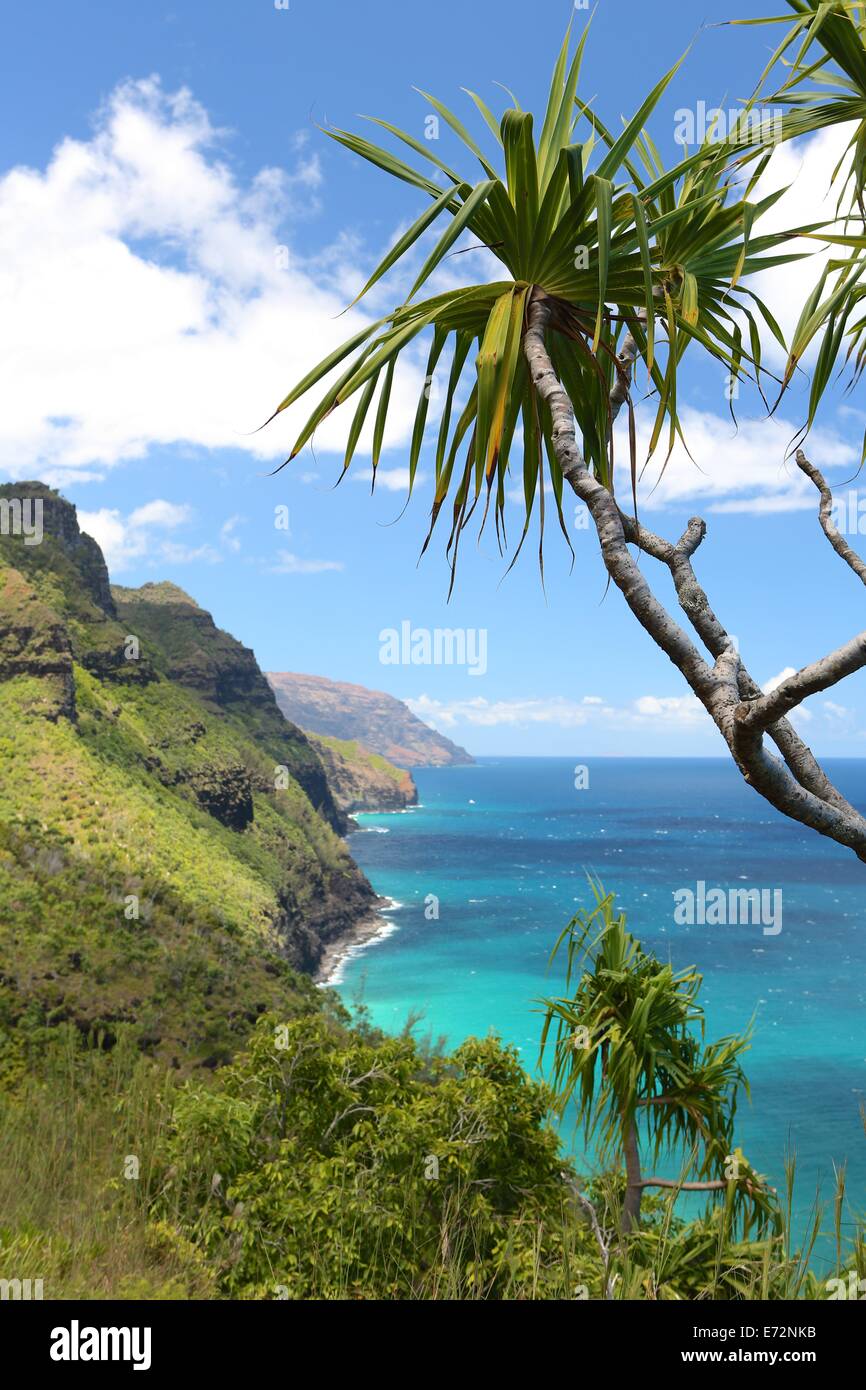 Vues le long de la Kalalau Trail sur la côte de Na Pali de Kauai, Hawaii Banque D'Images