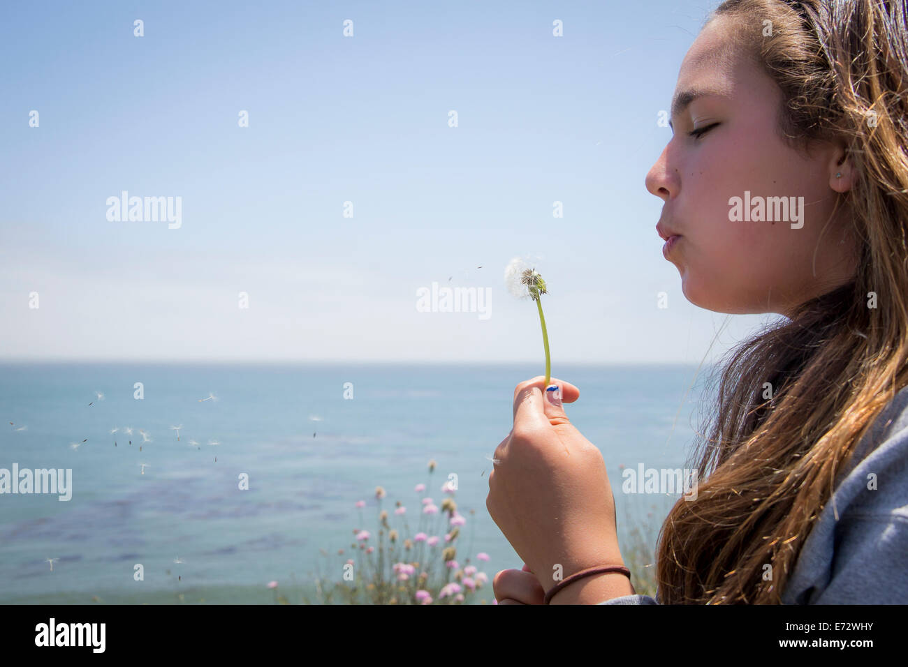 Girl (10-12) blowing dandelion Banque D'Images