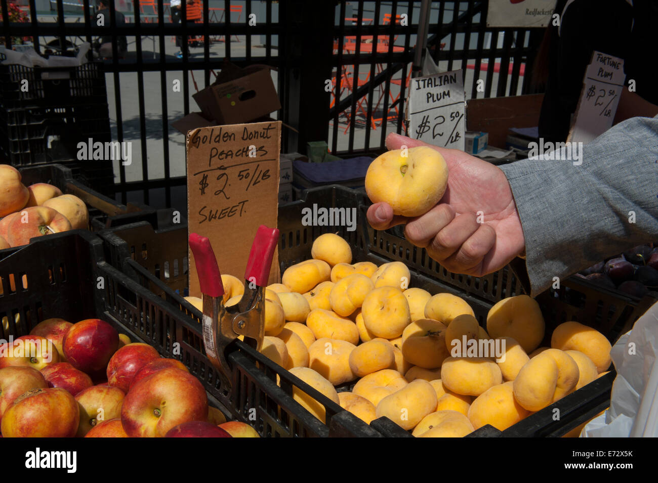 Les pêches et les pommes à vendre à Greenmarket dans Lower Manhattan, New York City. Banque D'Images