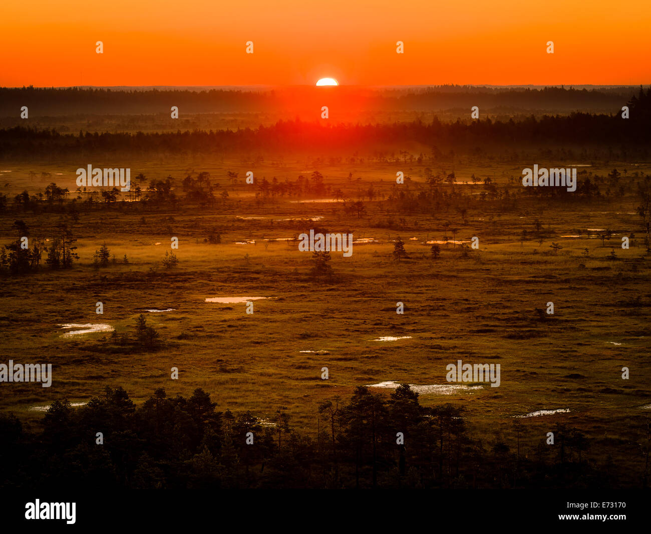 Lever de soleil sur un matin tôt au Torronsuo marais en Finlande. Le soleil à peine visible sur l'horizon. Banque D'Images