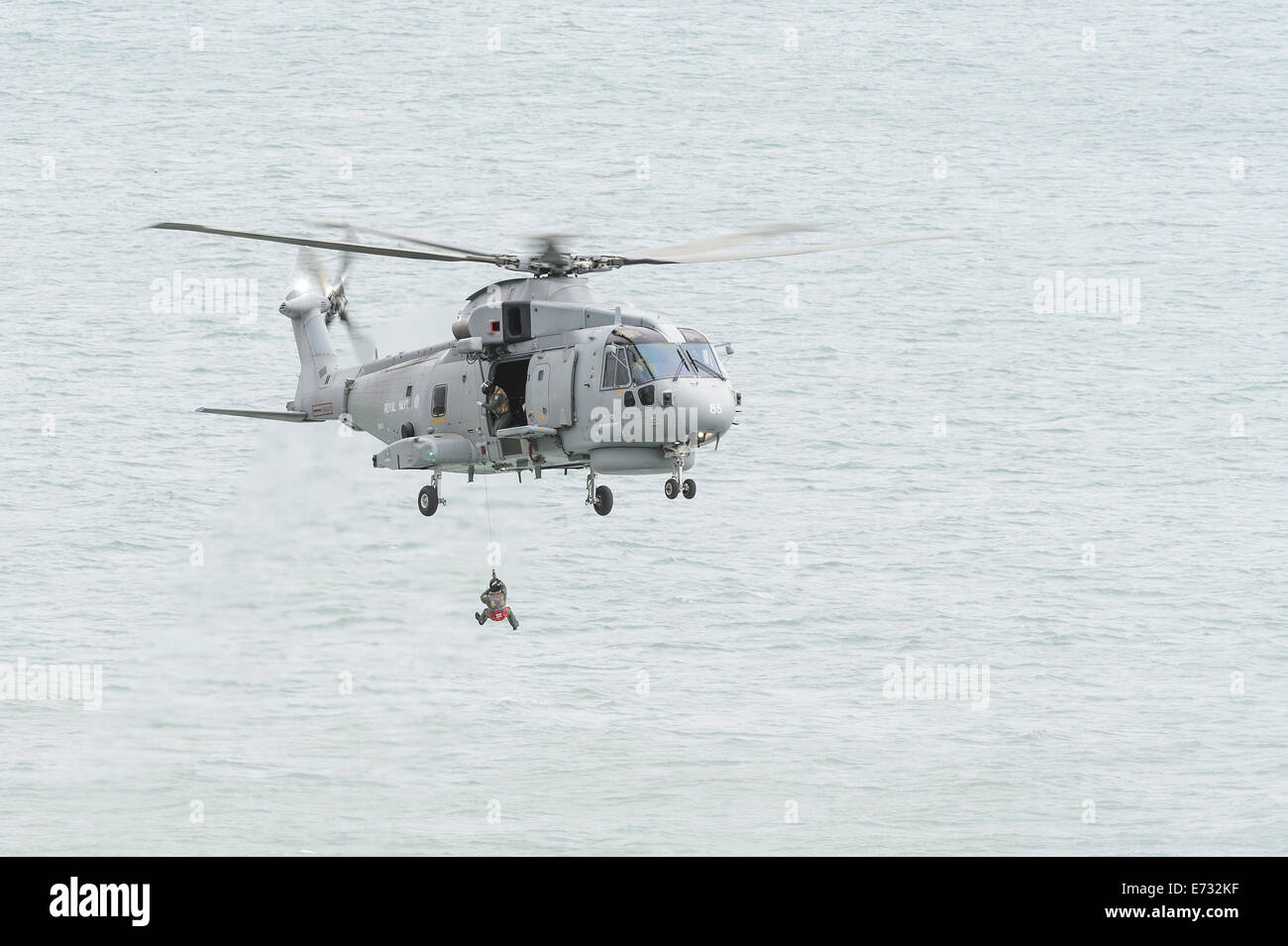 Merlin de la Marine royale un hélicoptère HM1 démontre sa capacité d'abaisser une winchman pendant le Festival 2014 de l'air de Bournemouth. Banque D'Images