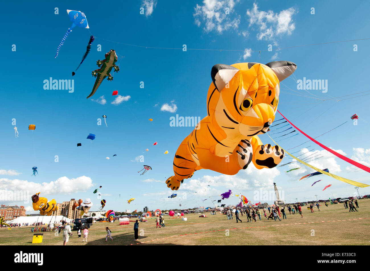 Festival International de Cerf-volant de Portsmouth, tiger kite Banque D'Images