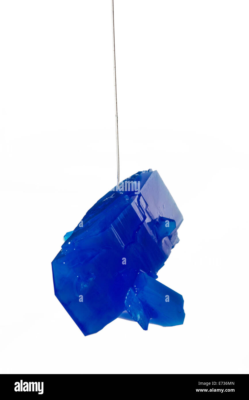 Un cristal de sulfate de cuivre sur un morceau de ficelle grandi comme un projet scientifique de l'école illustrant la cristallisation Banque D'Images