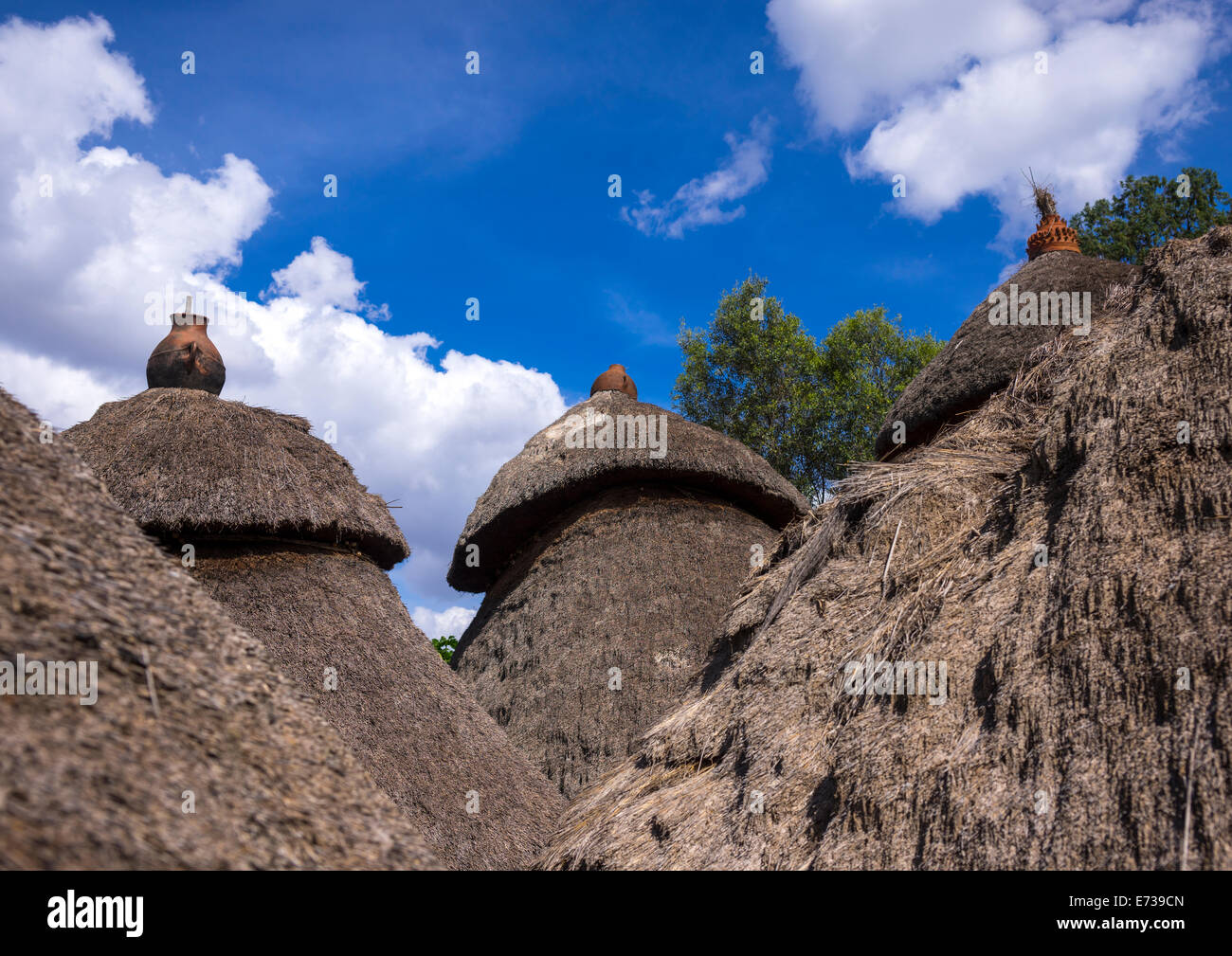 Tribu Konso Maisons traditionnelles avec des pots sur le dessus, Konso, vallée de l'Omo, Ethiopie Banque D'Images
