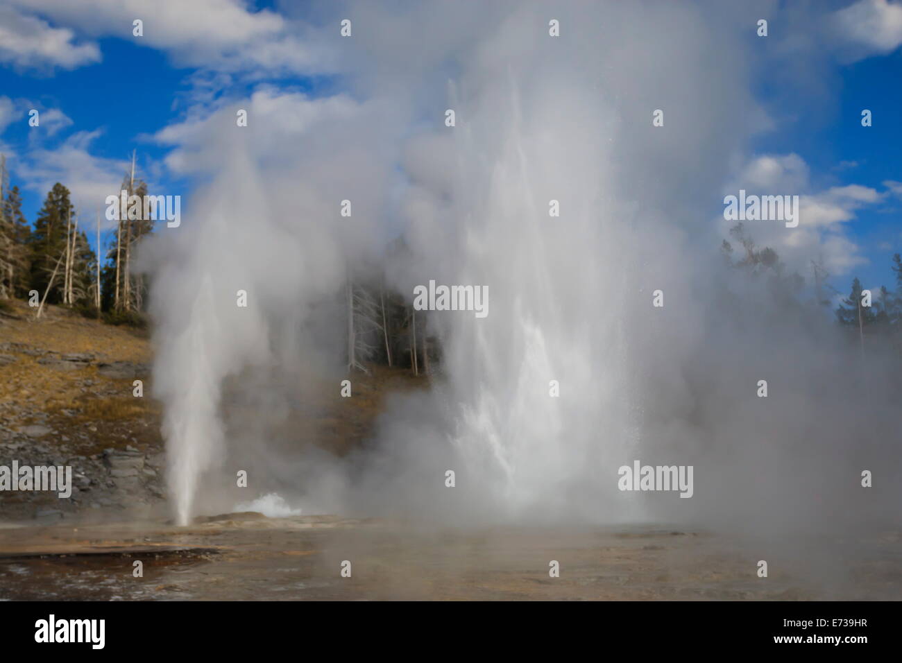 Turban, vent et grand geysers éclatent, Upper Geyser Basin, Parc National de Yellowstone, Site de l'UNESCO, Wyoming, USA Banque D'Images