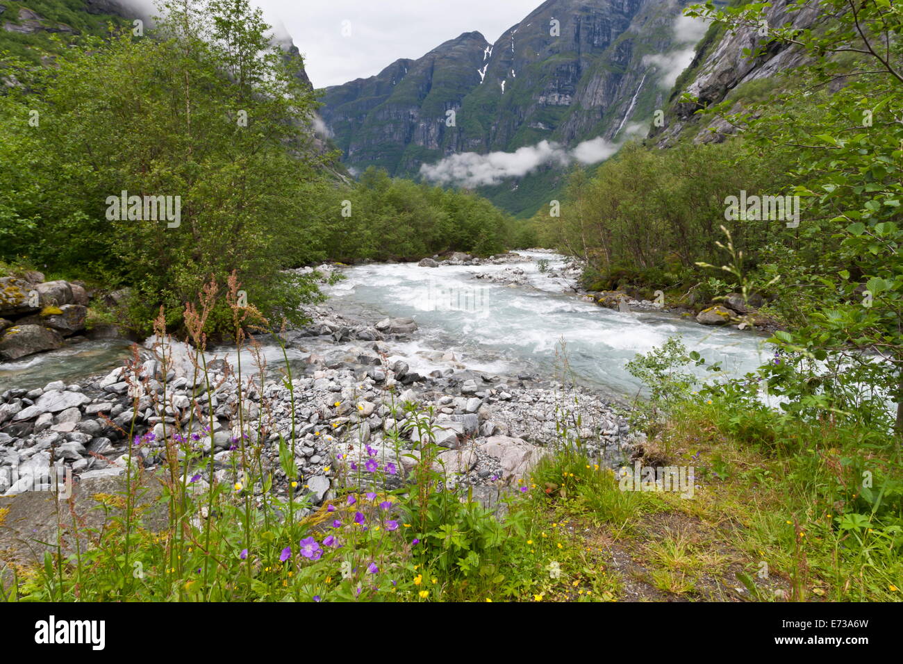 Roaring river, de fleurs sauvages et les montagnes, près de la vallée du Glacier Lodal Kjenndalen, Loen, Norway, Scandinavia, Europe Banque D'Images