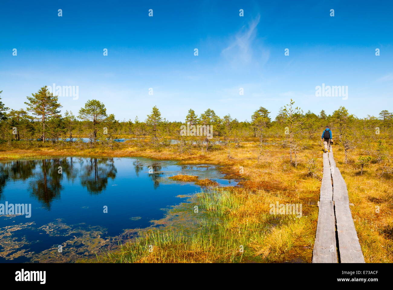 Viru Viru Bog (Raba) marais de tourbe, le parc national de Lahemaa, Harjumaa, Laane-Virumaa, l'Estonie, pays Baltes, Europe Banque D'Images