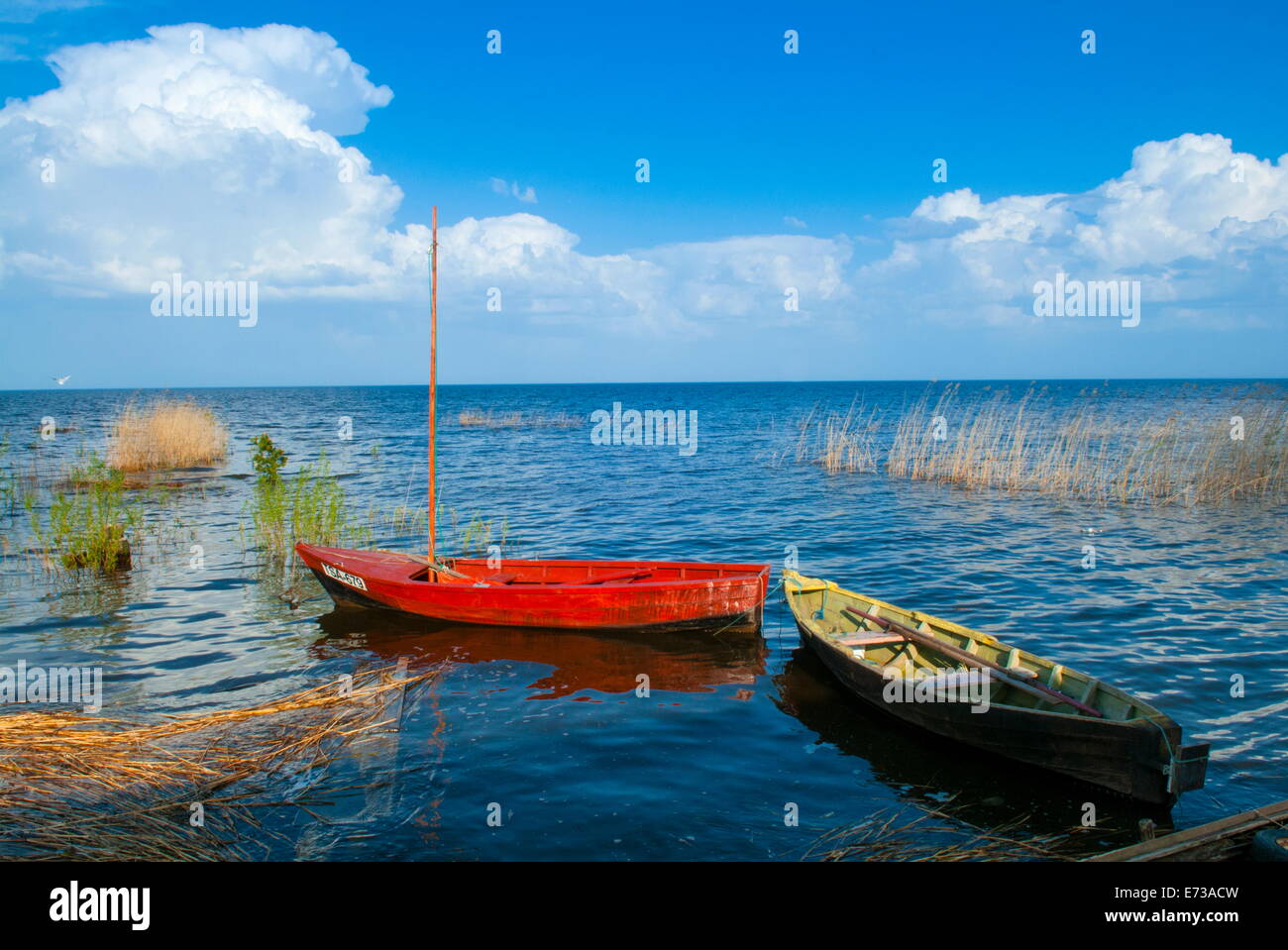 Lac Peipus (le lac Peipsi), l'Estonie, pays Baltes, Europe Banque D'Images