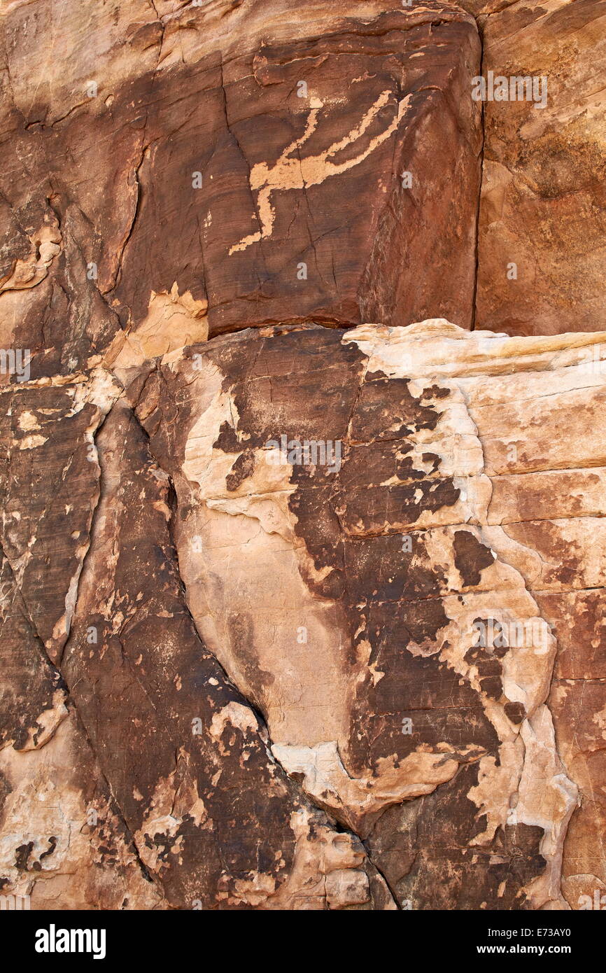 Homme qui tombe petroglyph, Gold Butte, Nevada, États-Unis d'Amérique, Amérique du Nord Banque D'Images