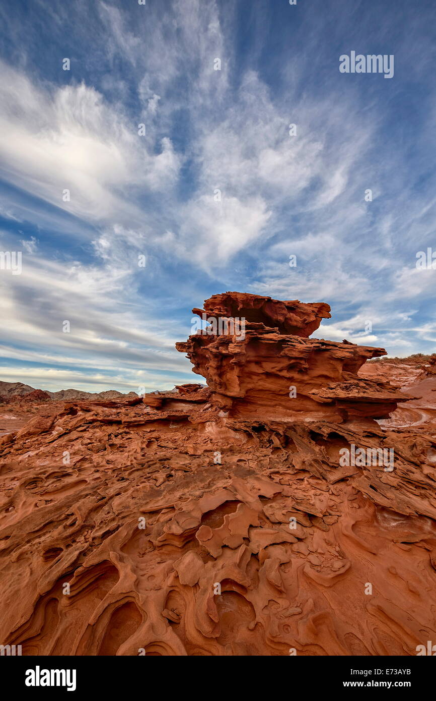Le grès rouge avec les trois dimensions des formes d'érosion, Gold Butte, Nevada, États-Unis d'Amérique, Amérique du Nord Banque D'Images